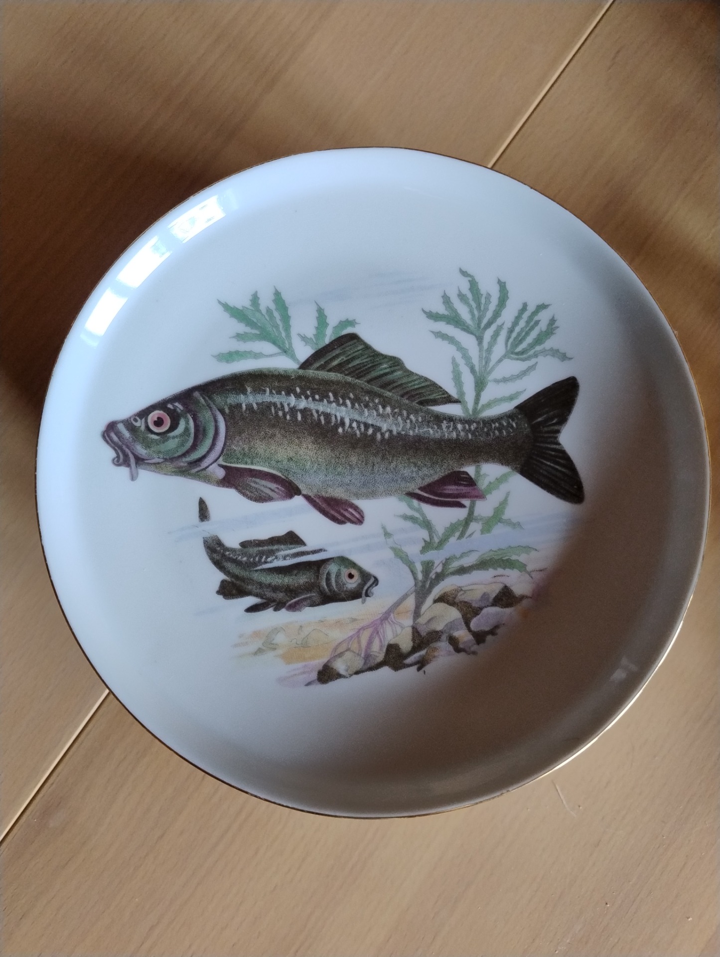 10 tallerkener med forskellige motiver af fisk. 17cm Ø